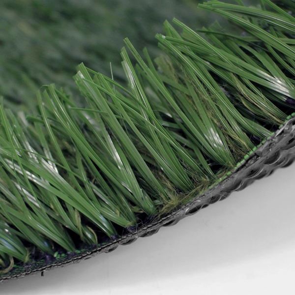  (1)